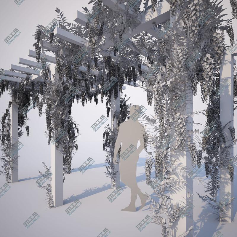 images/goods_img/202104023/Wisteria Collection 01/5.jpg